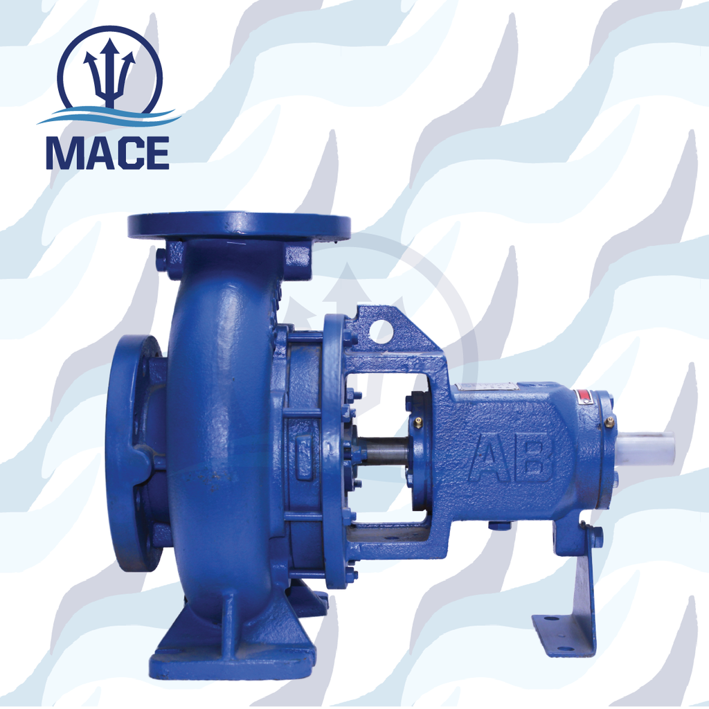 DIN End Suction Pump: Model EA 65/16