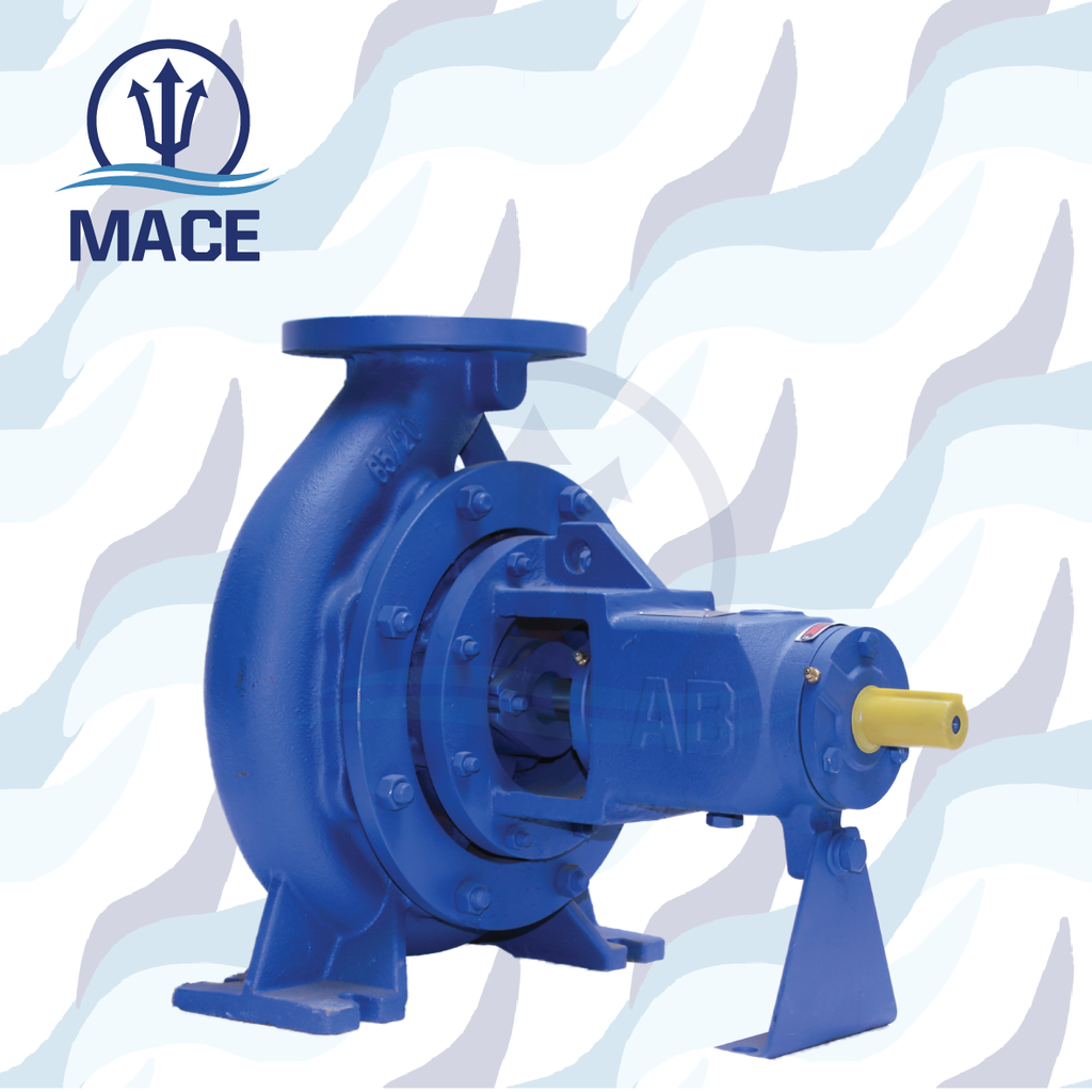 DIN End Suction Pump: Model EA 65/20