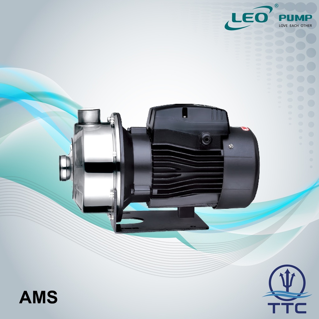 Stainless Steel Centrifugal Pump: Model AMSm-70/0.37 x 0.37kW/0.5HP x 1 Phase x Clean Water