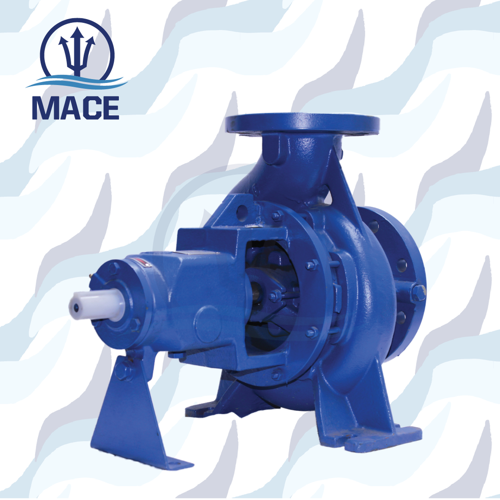 DIN End Suction Pump: Model EA 80/16